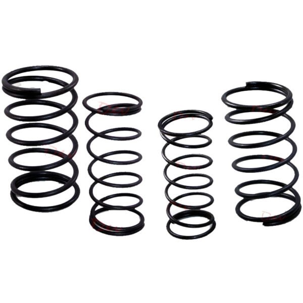 Lister CS Inner outer Valve Spring set 12-03129