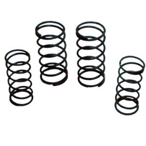 Lister CS Valve SPRING set of 10-3-129 & 11-3-219