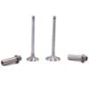 Lister HR HRW inlet Exhaust Valve and Guide Set